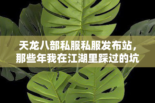 那些年我在江湖里踩过的坑与摸出的野路子天龙私服图片