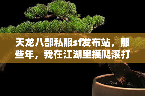 我在江湖里摸爬滚打的奇幻之旅天龙私服图片