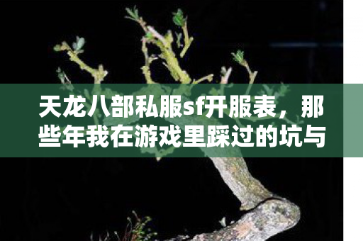 那些年我在游戏里踩过的坑与摸出的野路子天龙私服图片