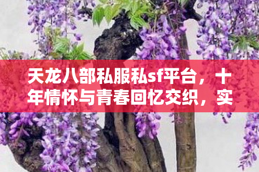 天龙八部私服私sf平台图片