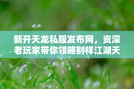 新开天龙私服发布网,资深老玩家带你领略别样江湖天龙私服 新开天龙私服发布网,资深老玩家带你领略别样江湖天龙私服