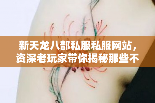资深老玩家带你揭秘那些不为人知的游戏秘辛天龙私服图片
