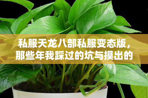 那些年我踩过的坑与摸出的招天龙八部私服图片