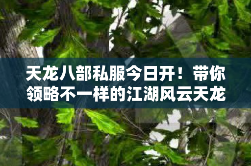 带你领略不一样的江湖风云天龙八部私服图片