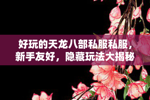好玩的天龙八部私服私服图片