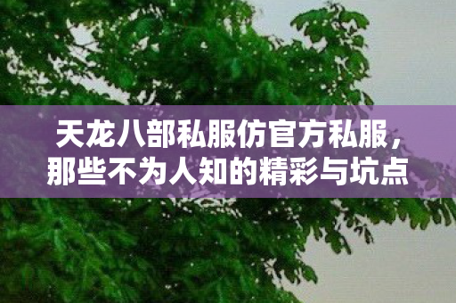 那些不为人知的精彩与坑点天龙八部私服图片