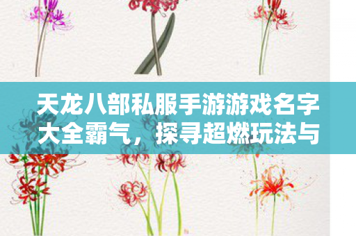 探寻超燃玩法与霸气之名天龙八部私服图片