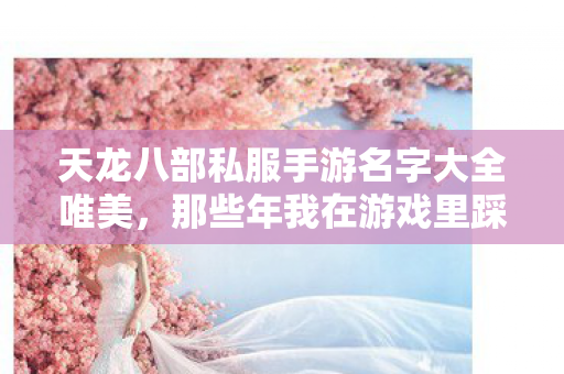 那些年我在游戏里踩过的坑与摸出的野路子天龙私服图片