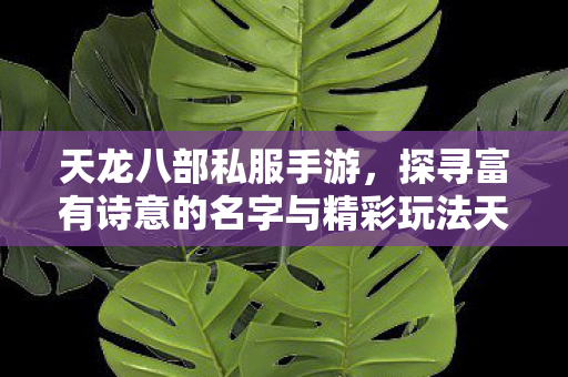 探寻富有诗意的名字与精彩玩法天龙八部私服图片