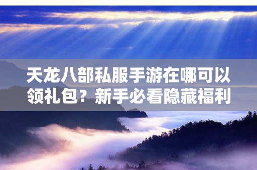 天龙八部私服手游在哪可以领礼包图片