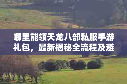 最新揭秘全流程及避坑指南天龙私服图片