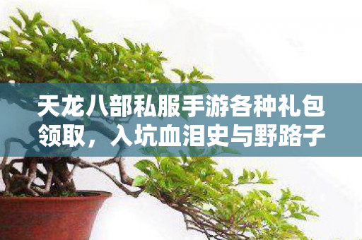 入坑血泪史与野路子大揭秘天龙私服图片