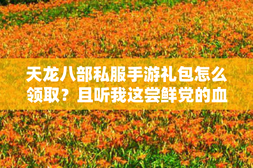 天龙八部私服手游礼包怎么领取图片