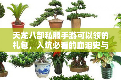 入坑必看的血泪史与野路子分享天龙八部私服图片