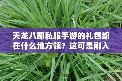 天龙八部私服手游的礼包都在什么地方领图片
