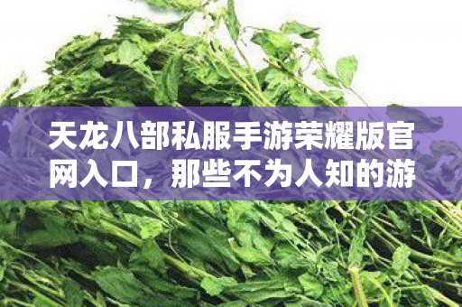 那些不为人知的游戏血泪史与野路子玩法天龙私服图片