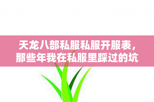 那些年我在私服里踩过的坑与摸出的野路子天龙私服图片