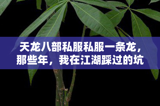 我在江湖踩过的坑与摸出的野路子天龙八部私服图片