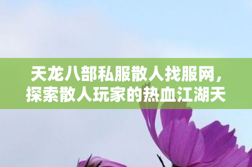探索散人玩家的热血江湖天龙私服图片