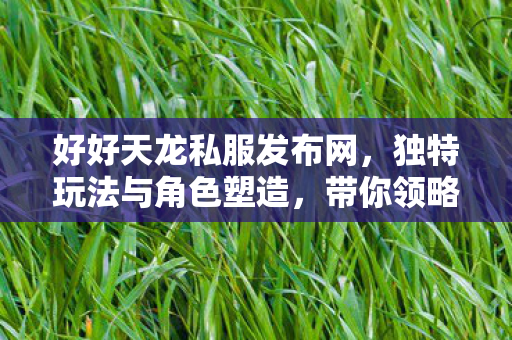 带你领略别样天龙世界天龙八部私服图片
