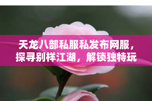 天龙八部私服私发布网服图片