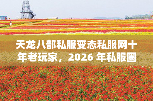 2026 年私服圈最新动态全解析天龙八部私服图片
