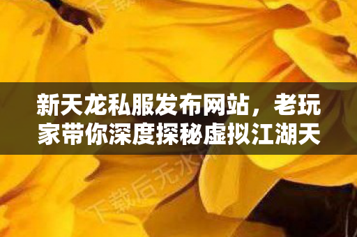 老玩家带你深度探秘虚拟江湖天龙私服图片