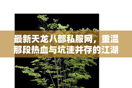 重温那段热血与坑洼并存的江湖路天龙八部私服图片