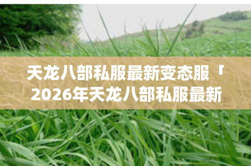 2026年天龙八部私服最新变态服热度榜图片
