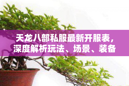 天龙八部私服最新开服表图片