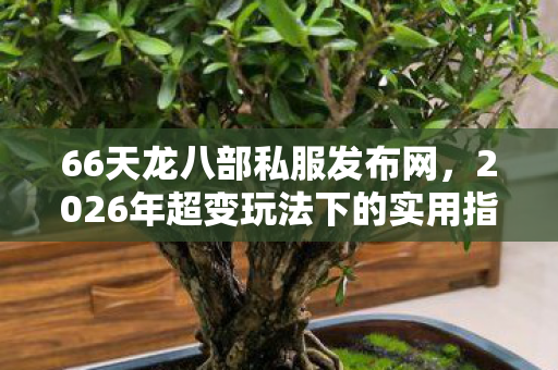 2026年超变玩法下的实用指南与痛点全解天龙八部私服图片