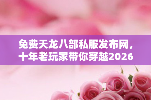 十年老玩家带你穿越2026私服圈风云天龙八部私服图片