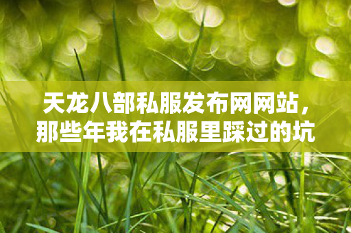 那些年我在私服里踩过的坑与摸出的野路子天龙八部私服图片