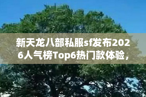 新天龙八部私服sf发布2026人气榜Top6热门款体验,躲开95%入门陷阱天龙私服 新天龙八部私服sf发布2026人气榜Top6热门款体验,躲开95%入门陷阱天龙私服