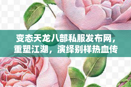 演绎别样热血传奇天龙八部私服图片
