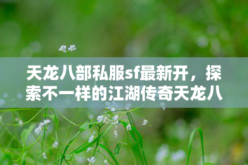 探索不一样的江湖传奇天龙八部私服图片