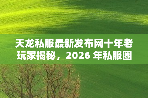 2026 年私服圈生存全攻略天龙八部私服图片