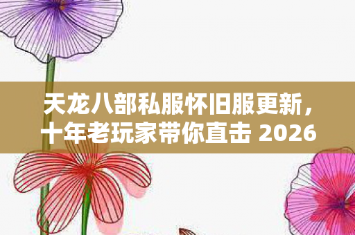 十年老玩家带你直击 2026 年最新动态天龙私服图片