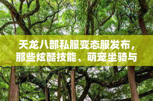 萌宠坐骑与鲜活人格的碰撞天龙私服图片