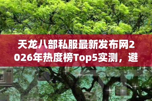 天龙八部私服最新发布网2026年热度榜Top5实测图片