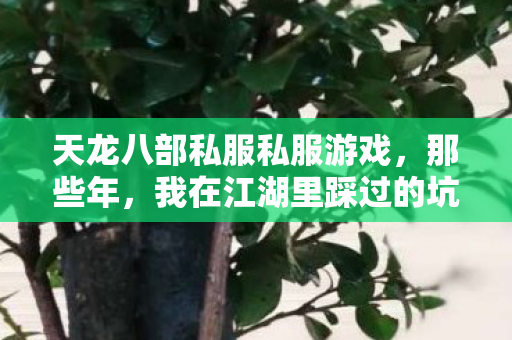 我在江湖里踩过的坑与摸出的野路子天龙八部私服图片