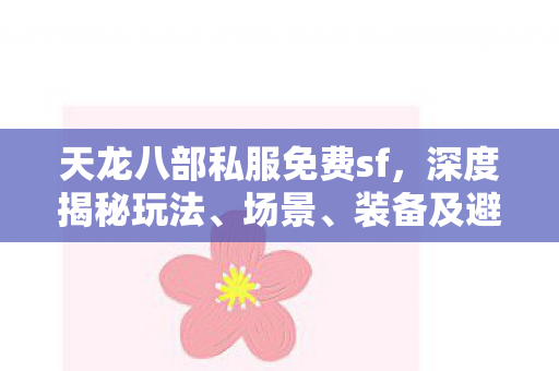 装备及避坑指南天龙私服图片