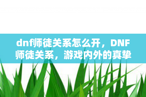 dnf师徒关系怎么开，DNF师徒关系，游戏内外的真挚情感