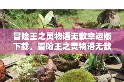 冒险王之灵物语无敌幸运版下载，冒险王之灵物语无敌幸运版，探索未知世界的奇幻之旅