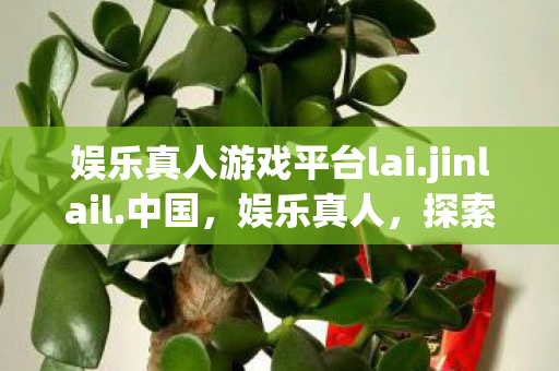 娱乐真人游戏平台lai.jinlail.中国,娱乐真人,探索真实人生的娱乐价值 娱乐真人游戏平台lai.jinlail.中国,娱乐真人,探索真实人生的娱乐价值