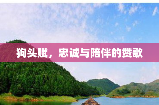 狗头赋,忠诚与陪伴的赞歌 狗头赋,忠诚与陪伴的赞歌