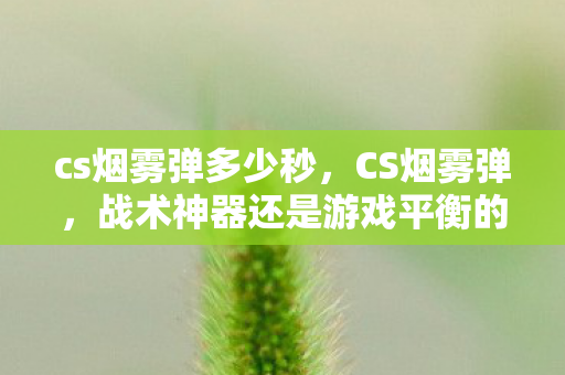 cs烟雾弹多少秒，CS烟雾弹，战术神器还是游戏平衡的挑战？