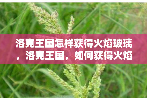 洛克王国怎样获得火焰玻璃,洛克王国,如何获得火焰玻璃? 洛克王国怎样获得火焰玻璃,洛克王国,如何获得火焰玻璃?