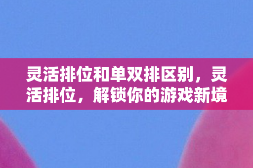 灵活排位和单双排区别，灵活排位，解锁你的游戏新境界