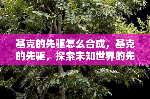 基克的先驱怎么合成，基克的先驱，探索未知世界的先驱者